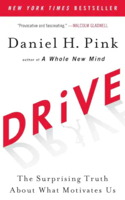 Drive : The Surprising Truth About What Motivates