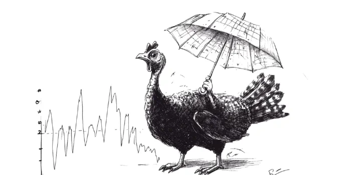 Navigating Options for Portfolio Protection: Lessons and Experiments